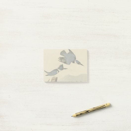Audubon Belted Kingfisher Wildlife Bird Post-it® Notes (Op bureau)
