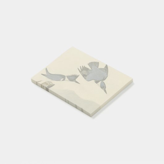 Audubon Belted Kingfisher Wildlife Bird Post-it® Notes (Schuin)