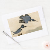 Audubon Belted Kingfisher Wildlife Bird Rechthoekige Sticker (Envelop)