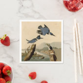 Audubon Belted Kingfisher Wildlife Bird Servet (Insitu)