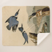 Audubon Belted Kingfisher Wildlife Bird Sherpa Deken (Voorkant (horizontaal))
