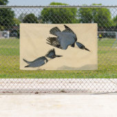 Audubon Belted Kingfisher Wildlife Bird Spandoek (Insitu)