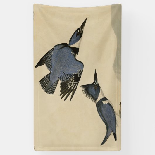 Audubon Belted Kingfisher Wildlife Bird Spandoek (Verticaal)