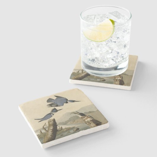Audubon Belted Kingfisher Wildlife Bird Stenen Onderzetter (Zijkant)
