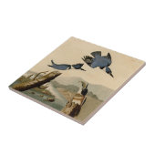 Audubon Belted Kingfisher Wildlife Bird Tegeltje (Zijkant)