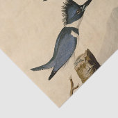 Audubon Belted Kingfisher Wildlife Bird Tissuepapier (Detail)