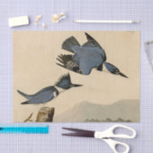 Audubon Belted Kingfisher Wildlife Bird Tissuepapier (Craft)