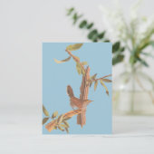 Audubon Bewick's Wren Solitary Song Bird on Branch Briefkaart (Staand voorkant)