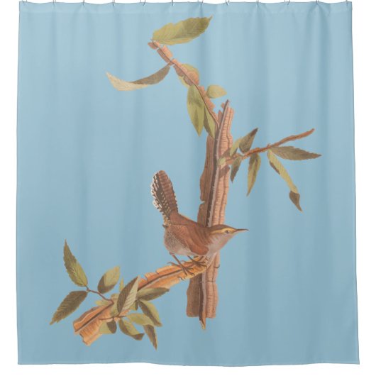 Audubon Bewick's Wren Solitary Song Bird on Branch Douchegordijn (Voorkant)