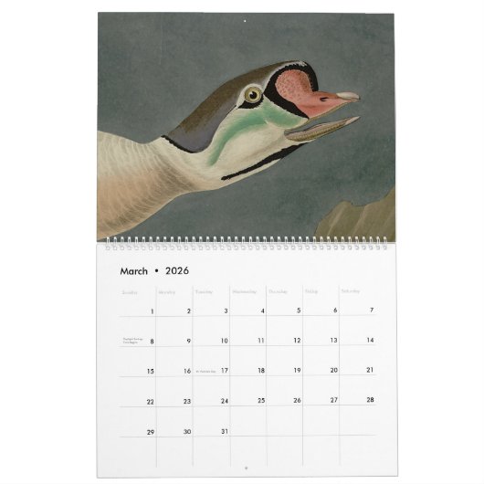Audubon Bird Head Kalender (Mar 2026)