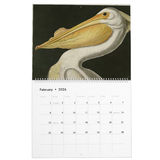 Audubon Bird Head Kalender (Feb 2026)