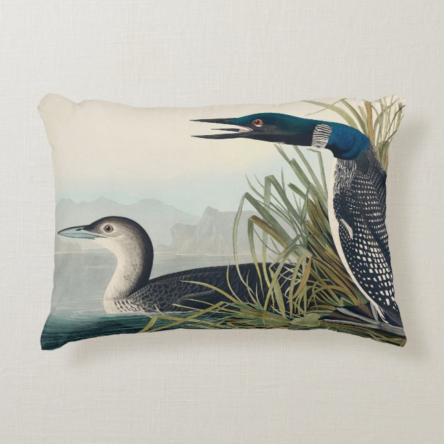 Audubon Bird Loon Diver Classic Accent Kussen (Voorkant)