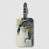 Audubon Bird Loon Diver Classic Bagagelabel (Voorkant (verticaal))