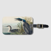 Audubon Bird Loon Diver Classic Bagagelabel (Voorkant (horizontaal))
