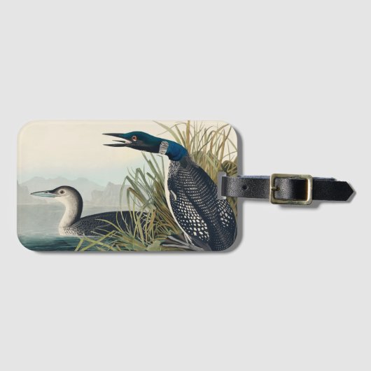 Audubon Bird Loon Diver Classic Bagagelabel (Voorkant (horizontaal))