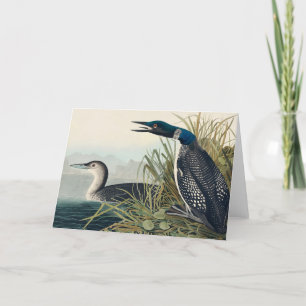 Audubon Bird Loon Diver Classic Bedankkaart