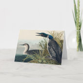 Audubon Bird Loon Diver Classic Bedankkaart (Voorkant)