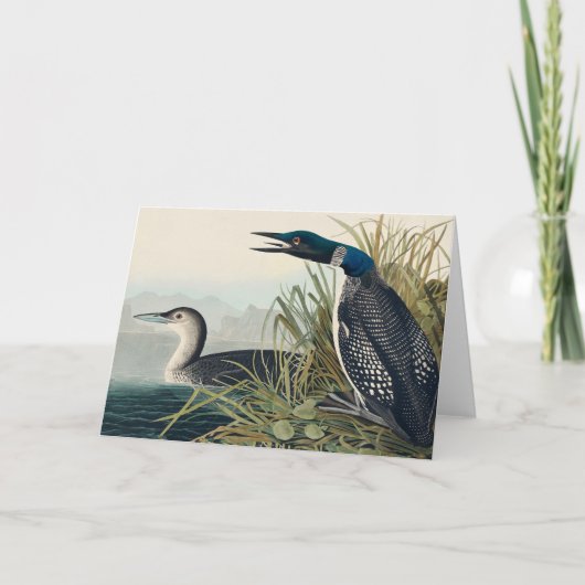 Audubon Bird Loon Diver Classic Bedankkaart (Voorkant)