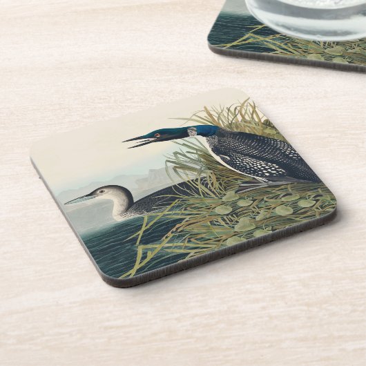 Audubon Bird Loon Diver Classic Bier Onderzetter (Linkerzijde)