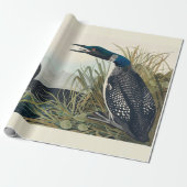 Audubon Bird Loon Diver Classic Cadeaupapier (Uitgerold)