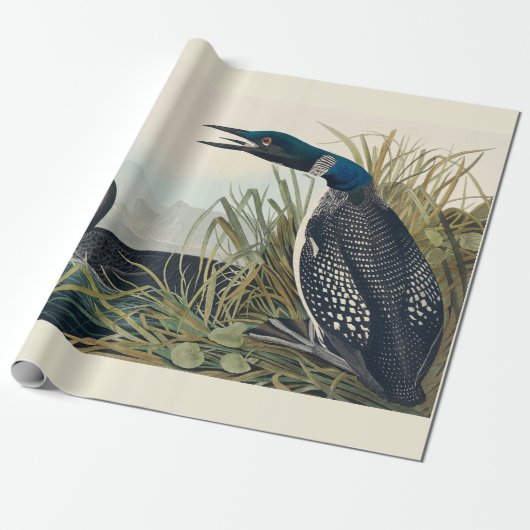 Audubon Bird Loon Diver Classic Cadeaupapier (Uitgerold)