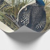 Audubon Bird Loon Diver Classic Cadeaupapier (Hoek)