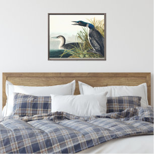 Audubon Bird Loon Diver Classic Canvas Afdruk