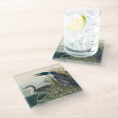 Audubon Bird Loon Diver Classic Glazen Onderzetter (Schuin)