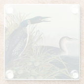 Audubon Bird Loon Diver Classic Glazen Onderzetter (Achterkant)