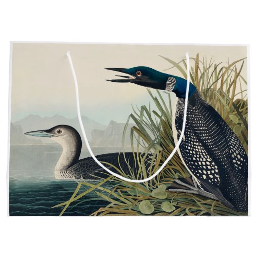 Audubon Bird Loon Diver Classic Groot Cadeauzakje (Achterkant)