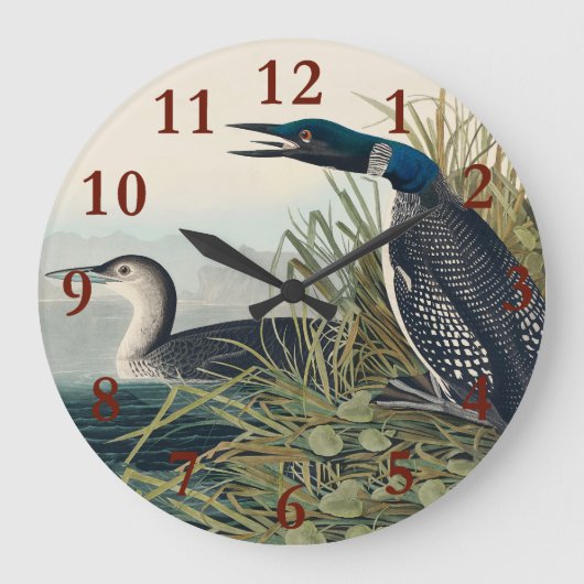 Audubon Bird Loon Diver Classic Grote Klok (Voorkant)