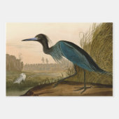 Audubon Bird Loon Diver Classic Inpakpapier Vel (Voorkant 2)
