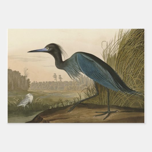 Audubon Bird Loon Diver Classic Inpakpapier Vel (Voorkant 2)