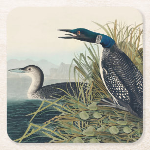 Audubon Bird Loon Diver Classic Kartonnen Onderzetters