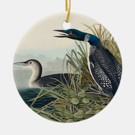 Audubon Bird Loon Diver Classic Keramisch Ornament (Voorkant)