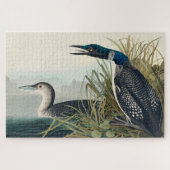 Audubon Bird Loon Diver Classic Legpuzzel (Horizontaal)