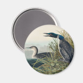Audubon Bird Loon Diver Classic Magneet (Voorkant / Achterkant)