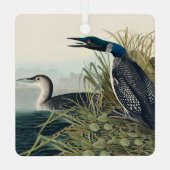 Audubon Bird Loon Diver Classic Metalen Ornament (Achterkant)