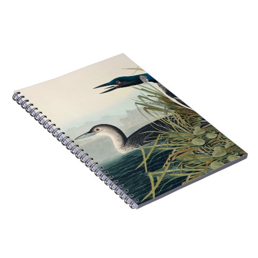 Audubon Bird Loon Diver Classic Notitieboek (Rechterzijde)