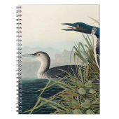 Audubon Bird Loon Diver Classic Notitieboek (Voorkant)