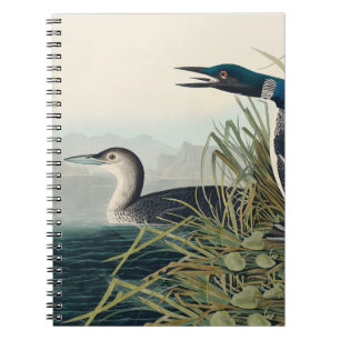 Audubon Bird Loon Diver Classic Notitieboek