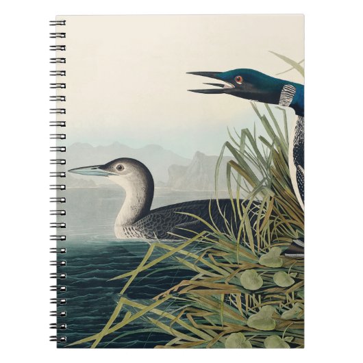 Audubon Bird Loon Diver Classic Notitieboek (Voorkant)