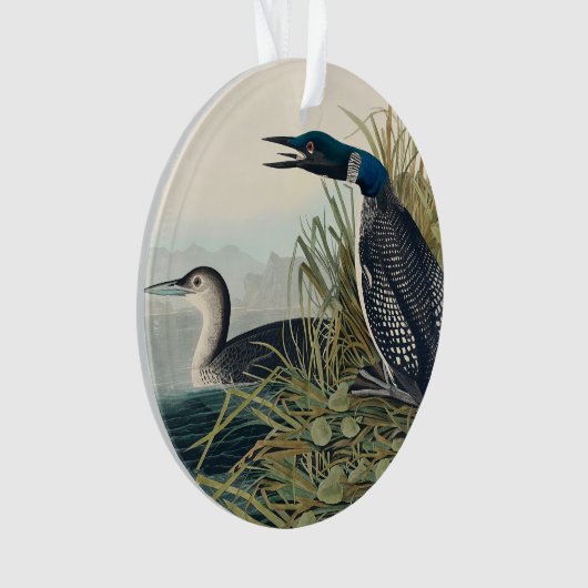 Audubon Bird Loon Diver Classic Ornament (voorkant)
