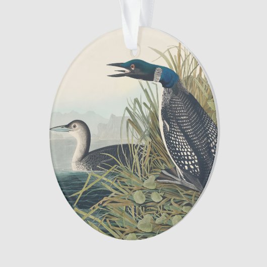 Audubon Bird Loon Diver Classic Ornament (voorkant)
