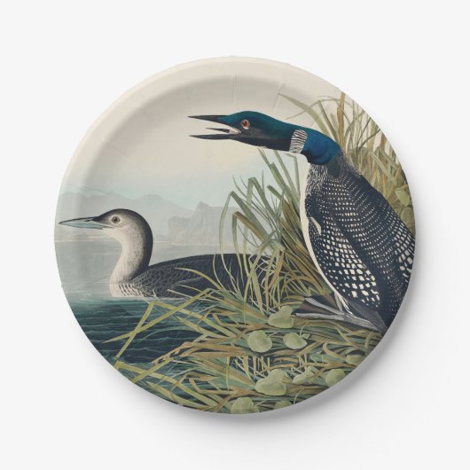 Audubon Bird Loon Diver Classic Papieren Bordje (Voorkant)