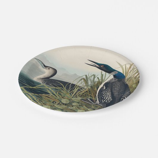 Audubon Bird Loon Diver Classic Papieren Bordje (Gekanteld)