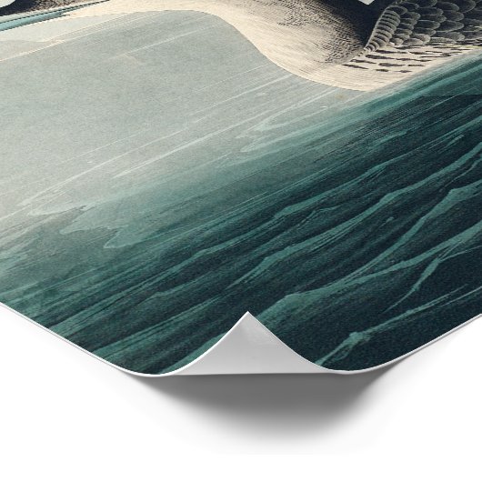 Audubon Bird Loon Diver Classic Poster (Hoek)