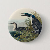 Audubon Bird Loon Diver Classic Ronde Button 5,7 Cm (Voorkant)