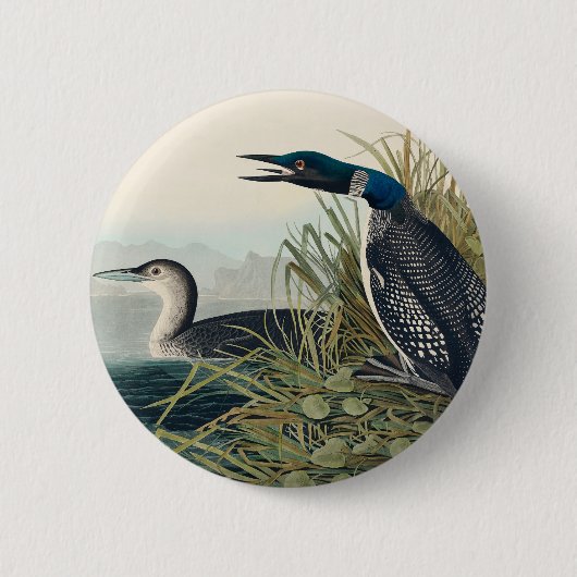 Audubon Bird Loon Diver Classic Ronde Button 5,7 Cm (Voorkant)