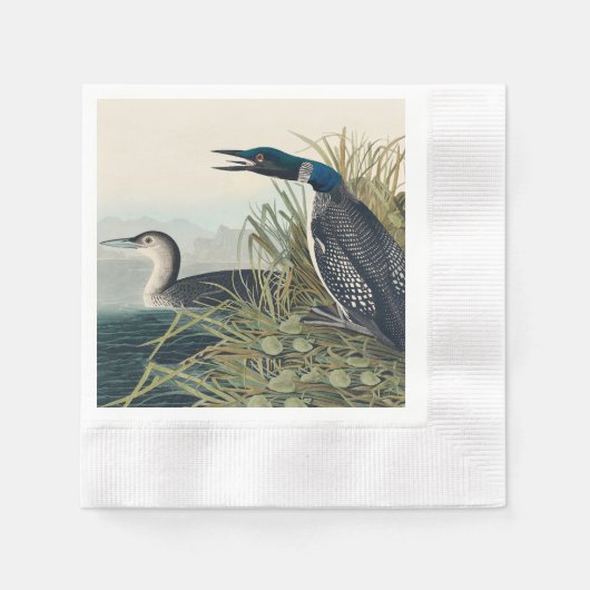 Audubon Bird Loon Diver Classic Servet (Voorkant)